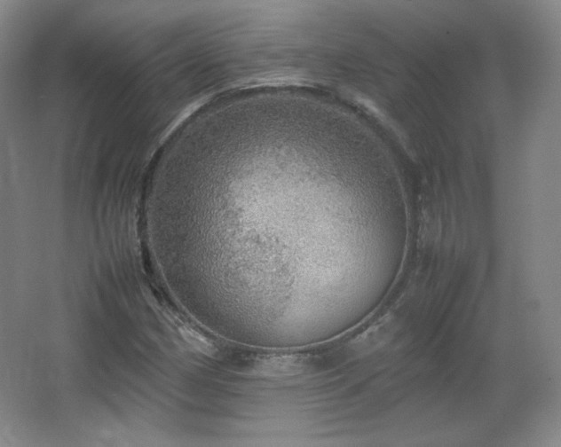 X0000067461162200604071120