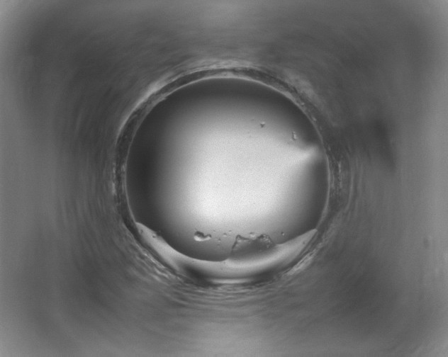 X0000067461165200604071120