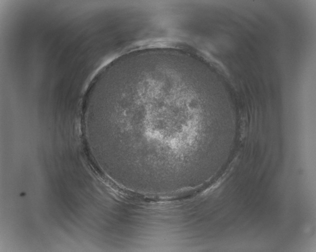 X0000067461166200604071120