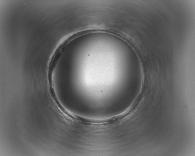 X0000067461168200604071120