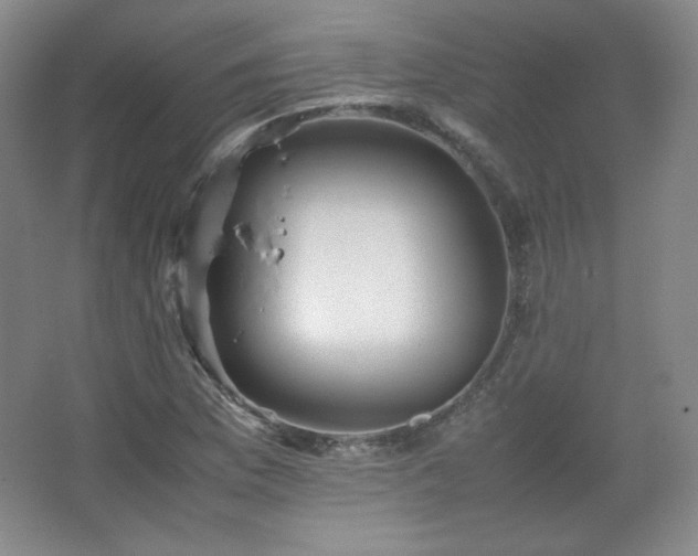 X0000067461169200604071120