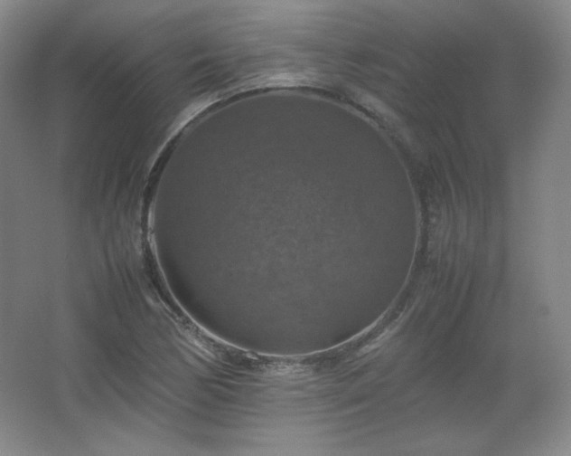 X0000067461170200604071120