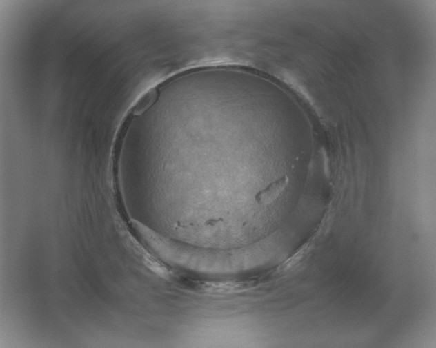 X0000067461173200604071120