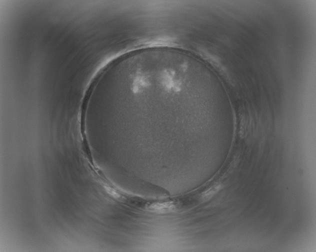 X0000067461174200604071120