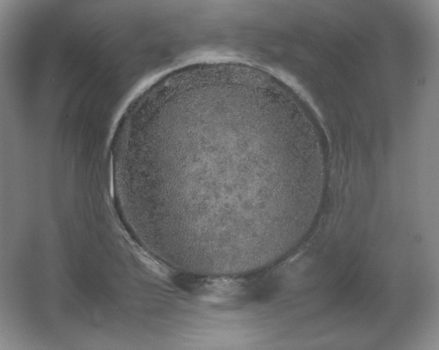 X0000067461175200604071120