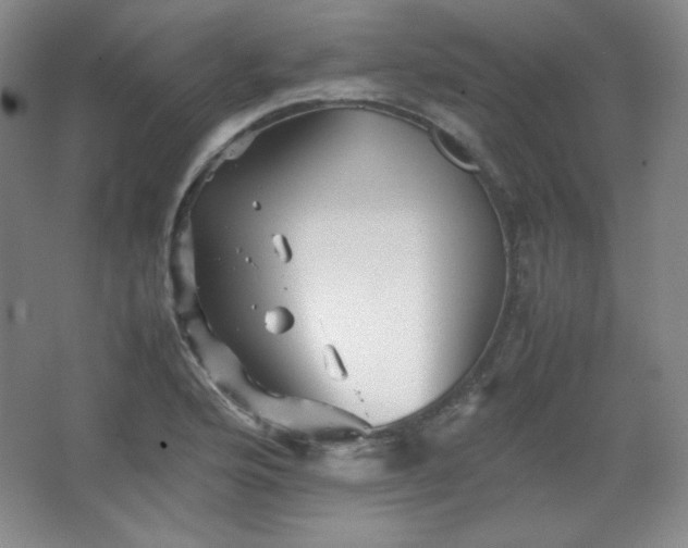 X0000067461176200604071120