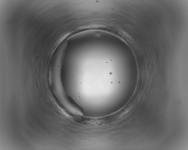 X0000067461177200604071120