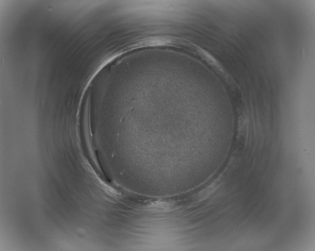 X0000067461178200604071120