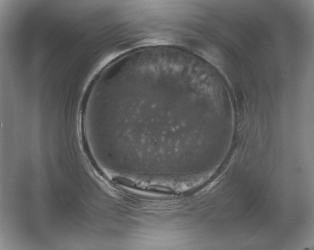 X0000067461179200604071120