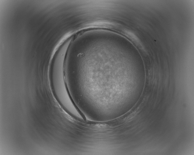 X0000067461180200604071120