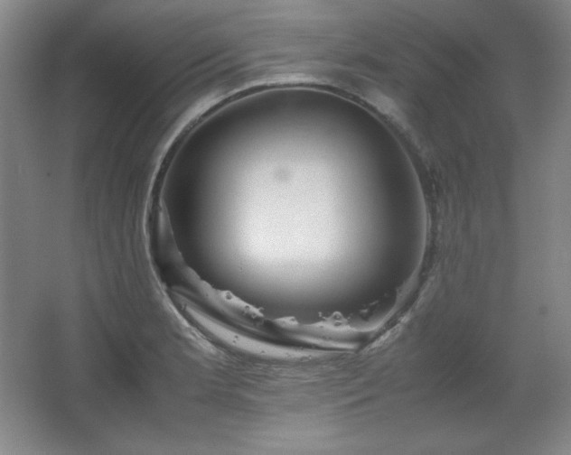 X0000067461181200604071120