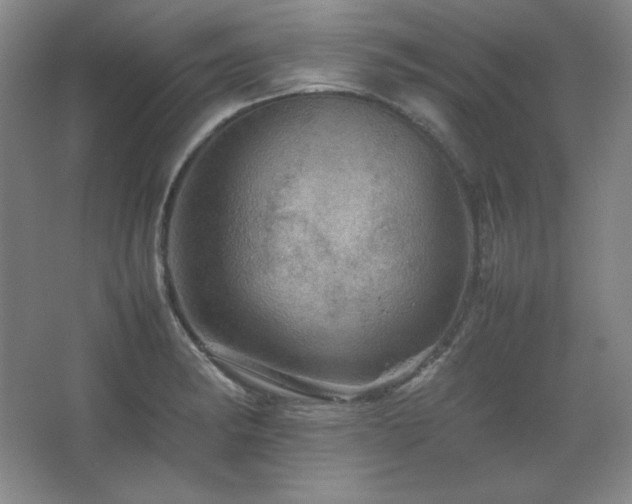 X0000067461182200604071120