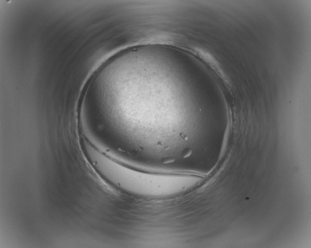 X0000067461184200604071120