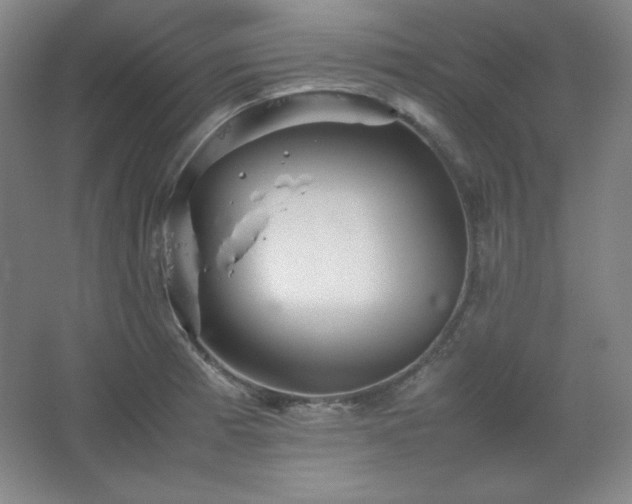 X0000067461185200604071120