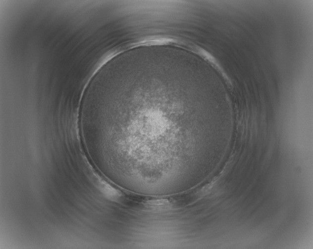 X0000067461186200604071120