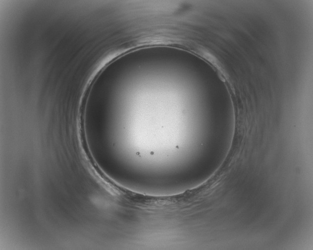 X0000067461187200604071120