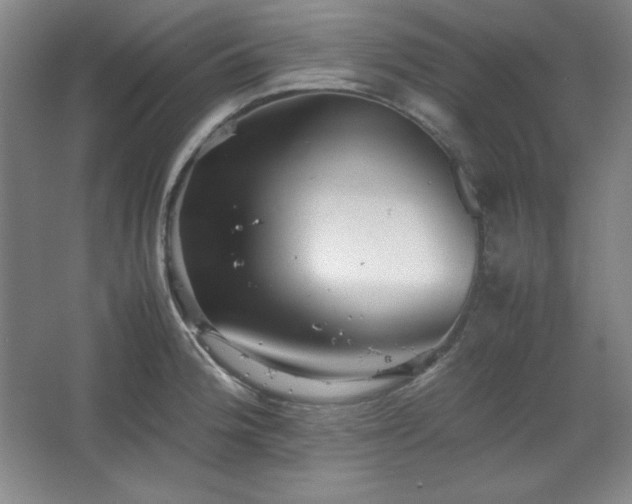 X0000067461188200604071120