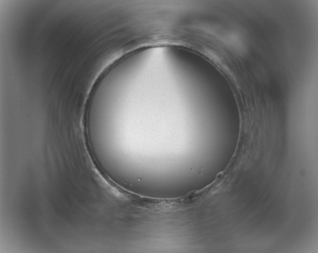 X0000067461189200604071120