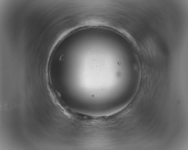 X0000067461191200604071120