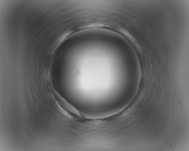 X0000067461193200604071120