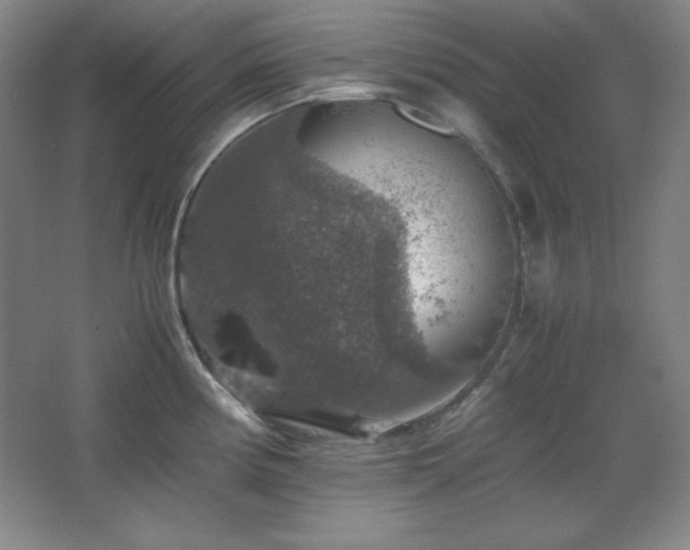 X0000067461194200604071120