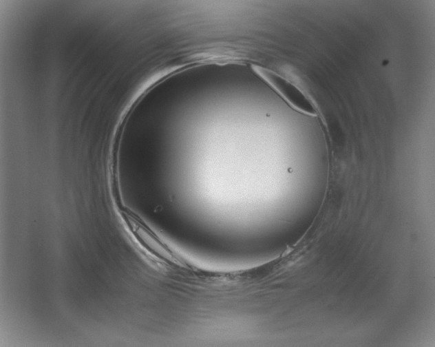 X0000067461195200604071120