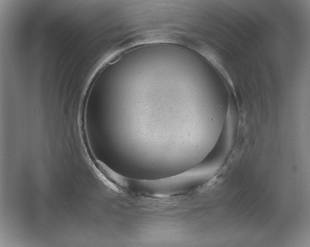 X0000067461197200604071120