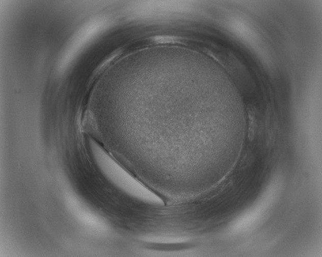 X0000067461198200604071120