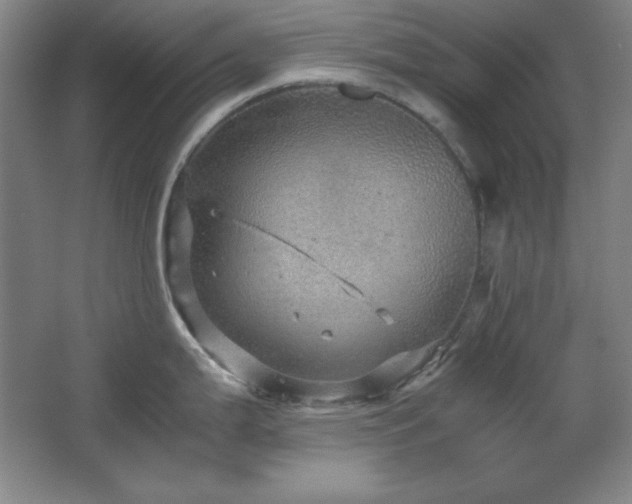 X0000067461199200604071120