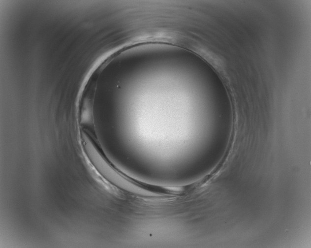 X0000067461200200604071120