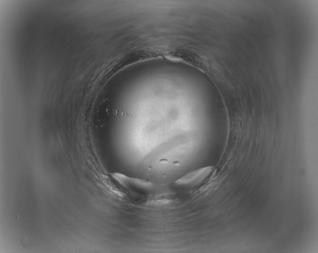 X0000067461201200604071119