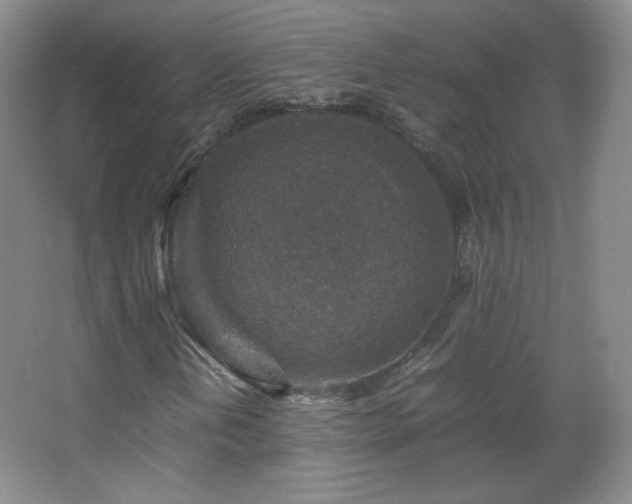 X0000067461202200604071119