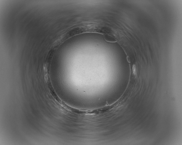 X0000067461203200604071119