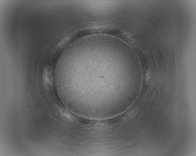 X0000067461204200604071119