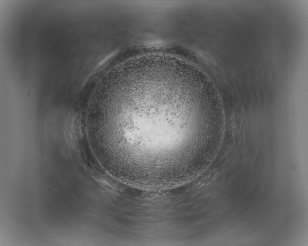 X0000067461205200604071119