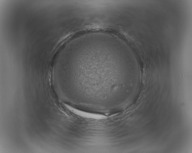 X0000067461206200604071119