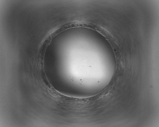 X0000067461207200604071119