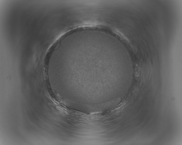 X0000067461208200604071119