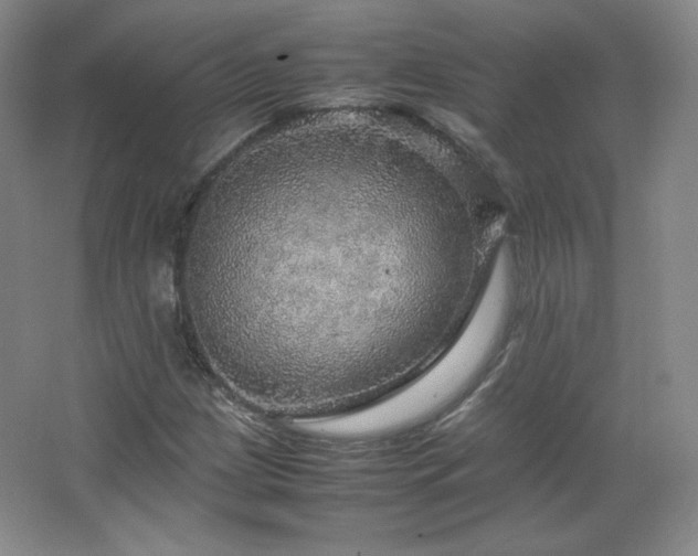 X0000067461209200604071119