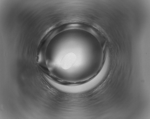 X0000067461210200604071119