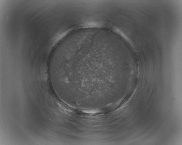 X0000067461213200604071119