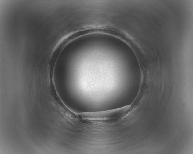 X0000067461214200604071119