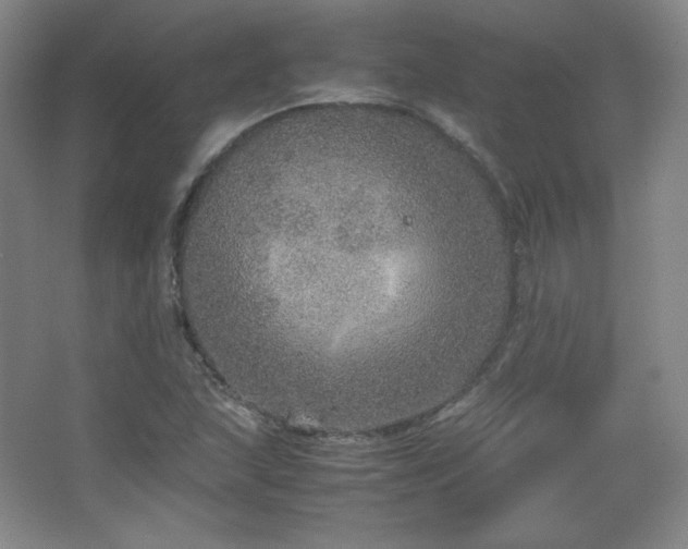 X0000067461215200604071119