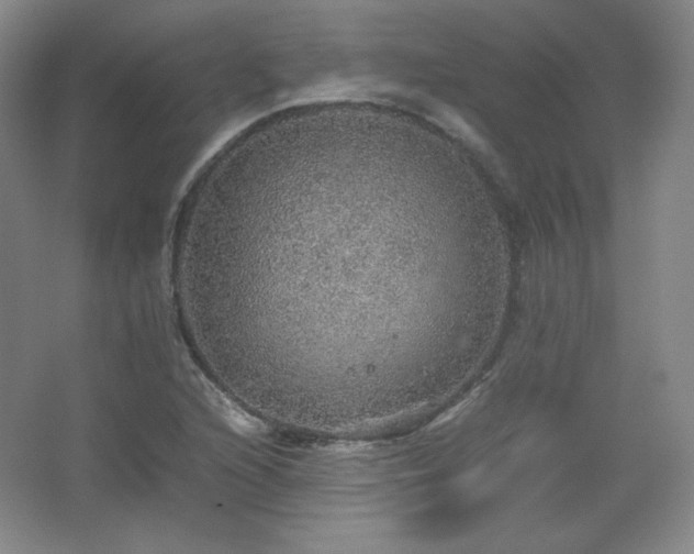 X0000067461216200604071119