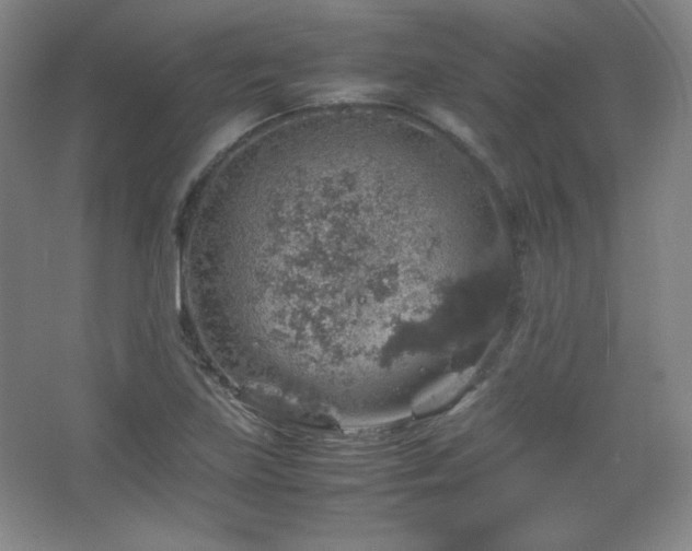 X0000067461219200604071119