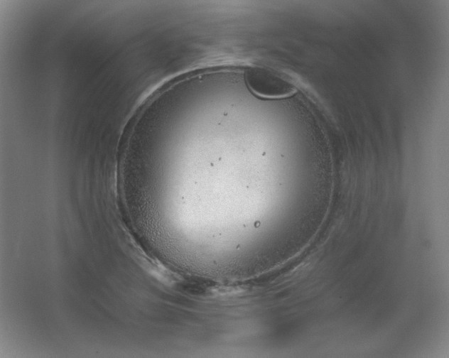 X0000067461220200604071119