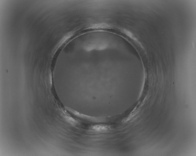 X0000067461221200604071119