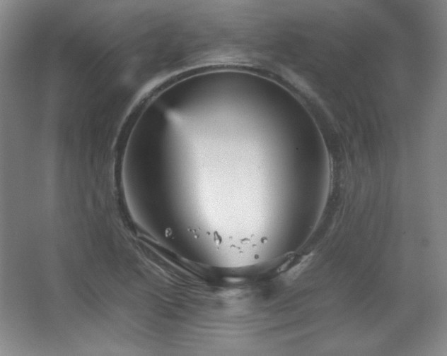 X0000067461222200604071119