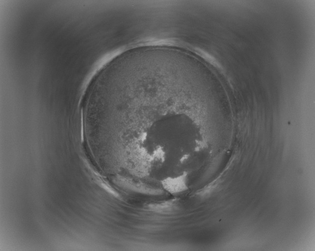 X0000067461223200604071119