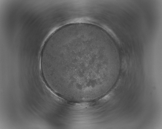 X0000067461224200604071119